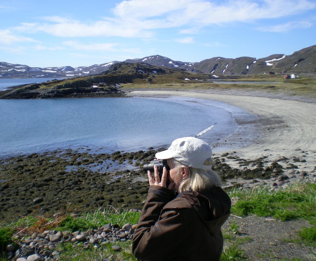 Kjølnes fyr er kjent for å ha mange av de samme kvalitetene som Slettnes fyr når det gjelder sjøfugltrekket på våren, men er langt mindre kjent enn «storebror».