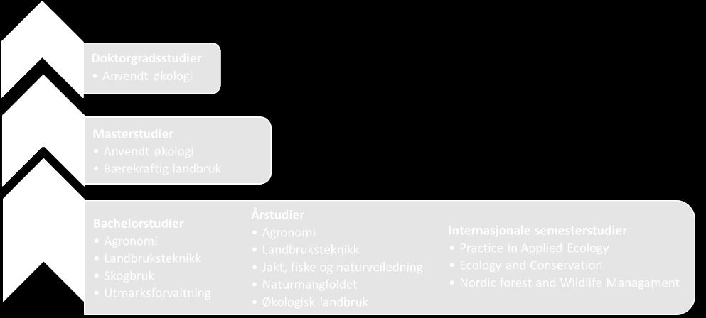 Figur 3. Studier ved AØL, fra bachelorgradsnivå (BA), via masternivå (MA) til doktorgradsnivå (PhD). Figur 4. Ambisjoner rundt en organisering av avdelingens faglige aktivitet.