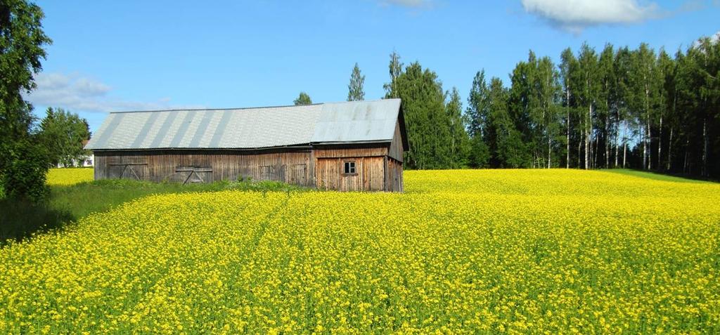 LANDBRUKSAVDELINGEN Rapport etter