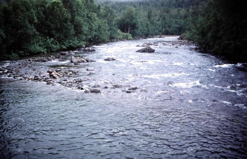 Kildalselva 2001 4. Resultater og diskusjon 4.1 Bonitering Kildalselva er tilgjengelig for anadrom laksefisk fra Kildal kraftstasjon og ned til samløpet med Reisaelva.