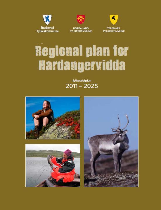 Fylkeskommunene Buskerud, Telemark og Hordaland gjennomførte i felleskap dette planarbeidet i perioden 2008-2011. Figur 2.