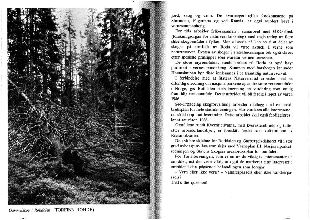 Gammelskog i Roltdalen. (TORFINN ROHDE) jord, skog og vann. De kvartærgeologiske forekomstene på Stormoen, Fagermoa og ved Ramåa, er også vurdert høyt i vernesammenheng.