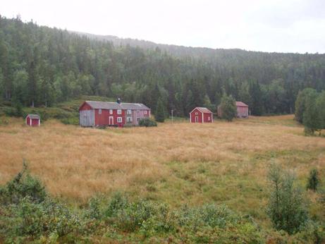 fjøs og naust. Brukene på Reppen ligger plassert usedvanlig tett og er orientert i en klyngetunstruktur.