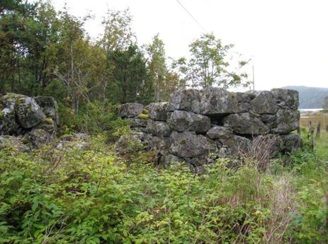 I 1875 startet driften av industrisagbruket på Risøya opp. Sagbruket ble drevet med dampkraft og var i drift fram til en brann i 1885.