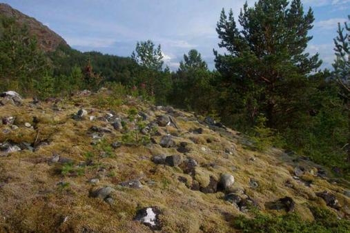 Nyere tids kulturminner. Vennesund er et smalt sund mellom fastlandet på Sømna og Kvaløya, på nordsida av Bindalsfjorden. Stedet har vært et naturlig stoppested for reisende i flere århundrer.