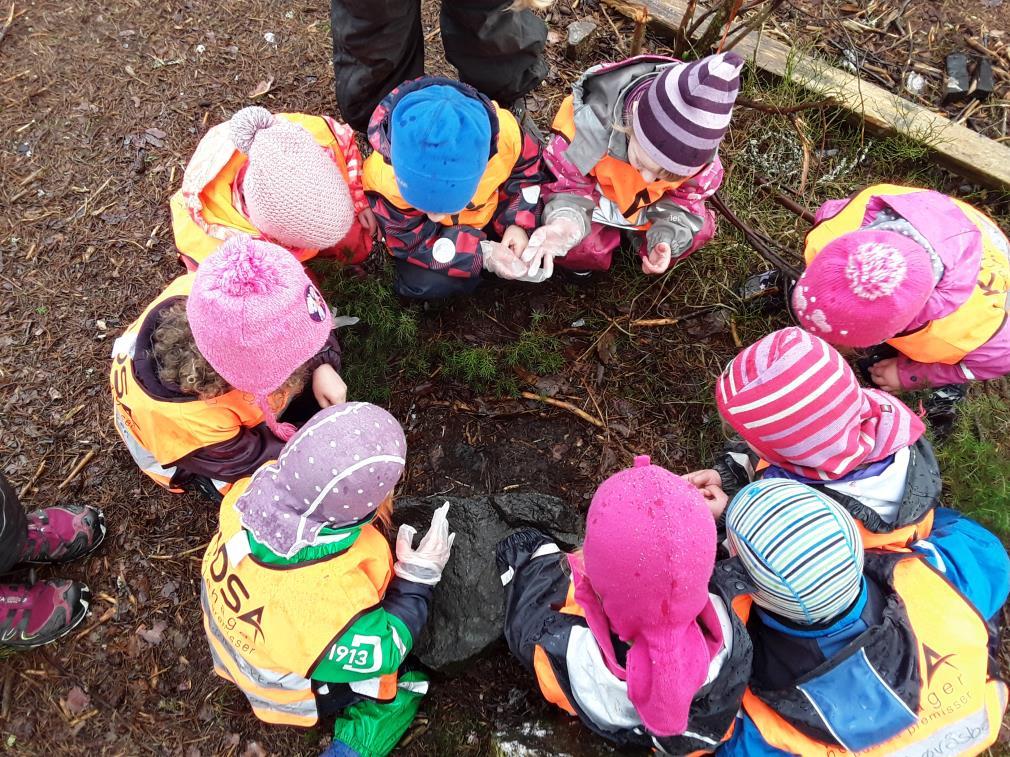 Barnehagens egenart Kidsa Løvåsbakken ligger i fine omgivelser sentralt i Fyllingsdalen. Vi har flotte naturmuligheter i nærområdet som vi bruker mye. Uteområdet er oppgradert med gode lekeapparater.