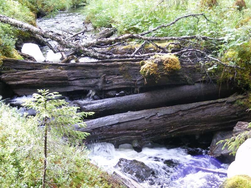 Urvassaga dam ID-nr 128809: 3 tømmerstokker på tvers av bekken.