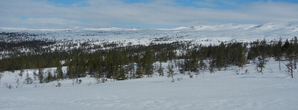 4. RESULTATER I resultatdelen refereres det til ulike lokaliteter ved hjelp av veipunktnummer, slik disse er gjengitt i figurene 3 og 4 ovenfor.