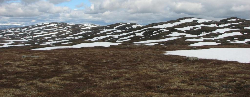 Områdene på nordsiden av Teveldalen og i planområdet til Vindkraftverket har få slike plasser.