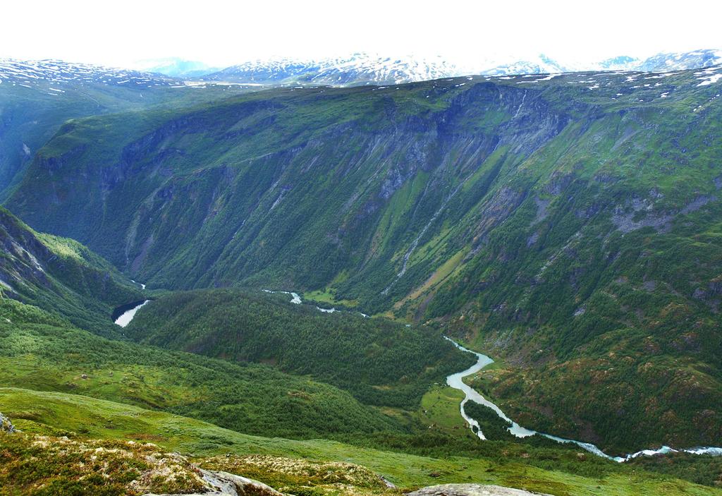 Mennesket og naturarven (MONA) Erfaringsbasert naturkunnskap og