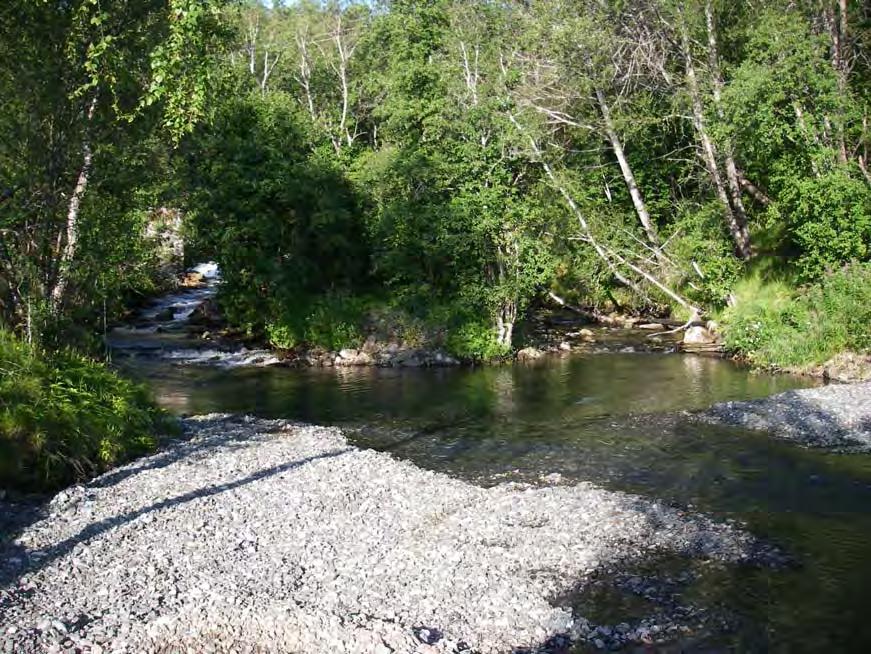 Øvre Foldvik kraftverk og Nedre Foldvik kraftverk - søknad om konsesjon Vedlegg Folvikelva ved inntaksdam til Astafjord smolt. Bilde datert 4.aug. 2009.