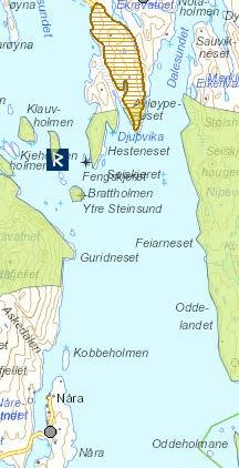 Naturmangfald Den føreslåtte traseen for ny veg og brusamband mellom Daløyna /Rånøyna og Nåra vil krysse den nordvestlege delen av ein naturtypelokalitet med kystlynghei (lokalitet BN00040421 i