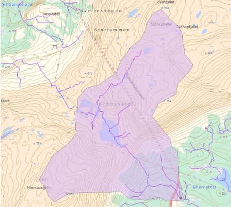 2. Dersom nedbørsfeltet til punkt 11B er bare 5,1 km 2 så vil 200-årsflom beregnes med den