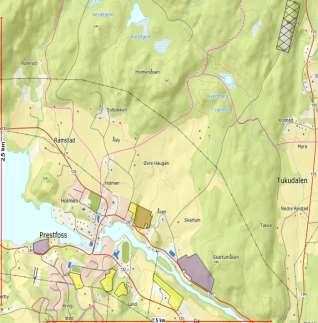 SENTRUMSFORMÅL OMRÅDE: Prestfoss S2-Prestfoss sentrum Gbnr 35/3 Innspill: 60 Dagens formål: LNF Foreslått formål: Bolig/næring Arealstørrelse: 28 daa Moh.