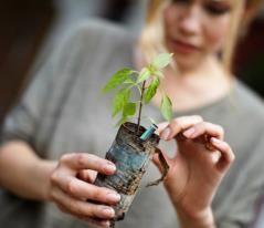 Godt resultat i krevende tider Nordea Bank Norge leverer et driftsresultat for 2015 på