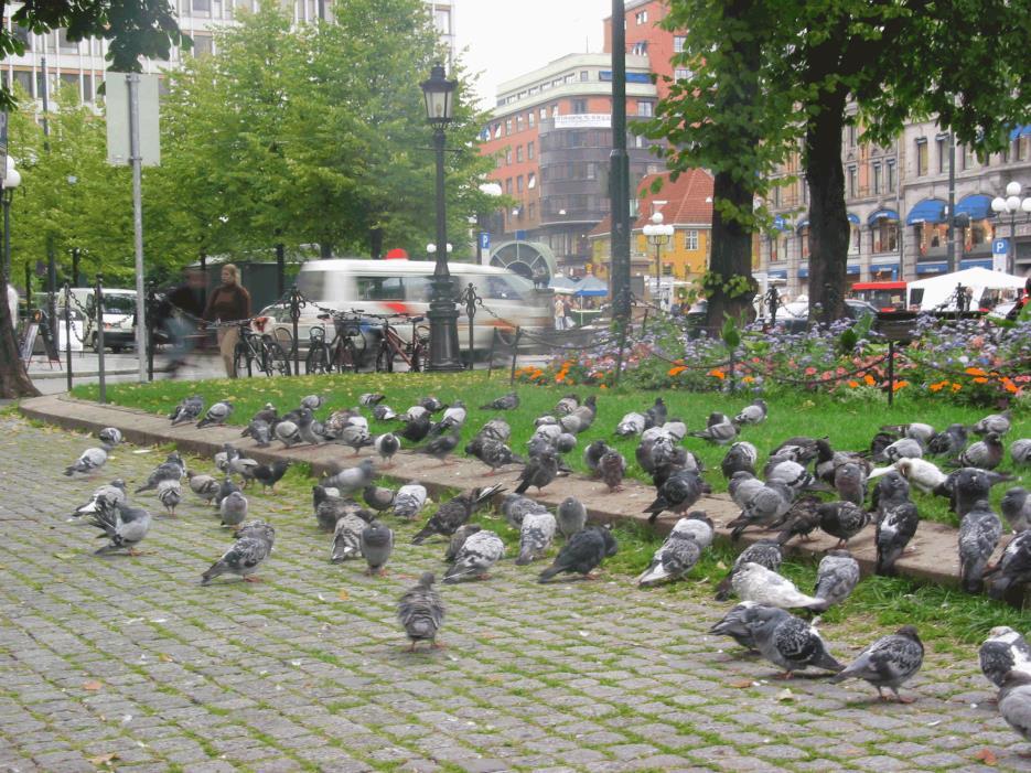 Attraktive omgivelser Gode byrom og uteområder hvor det er attraktivt å gå