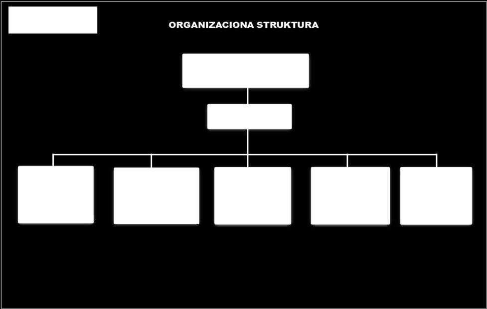 1. ORGANIZACIONA STRUKTURA DRUŠTVA Organizacionu strukturu Društva ĉine: - Odbor direktora - Izvršni direktor - Sektor za ekonomske poslove, -