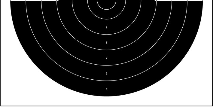 Skivekartongens minste synlige størrelse: bredde: 0 mm, høyde: 0 mm - 0 mm. Treffsoneverdiene -9 er trykket i treffsonene, men bare i loddrette linjer. Treffsone 0 er ikke merket med tall.