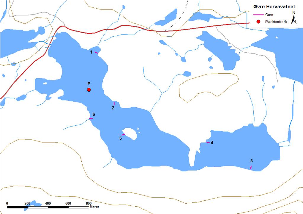 4.3.2 Øvre Hervavatnet Øvre Hervavatnet (figur 17 og bilete 4) ligg på Sognefjellet i Luster kommune. Vatnet er 1,02 km 2 stort og ligg 1302 moh.