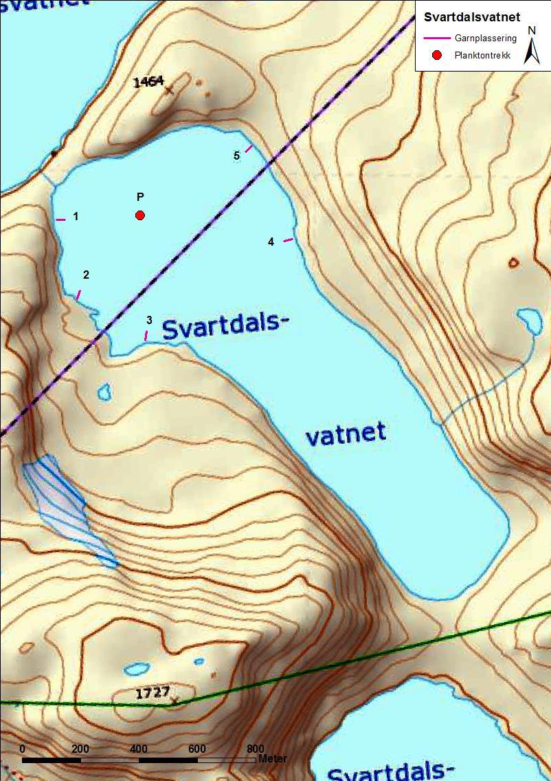 4.3.3 Svartdalsvatnet Svartdalsvatnet (figur 20 og bilete 5) ligg i Lom og Skjåk kommune. Vatnet er 1,01 km 2 stort, ligg 1408 moh. og har ei reguleringshøgd på 12 meter.