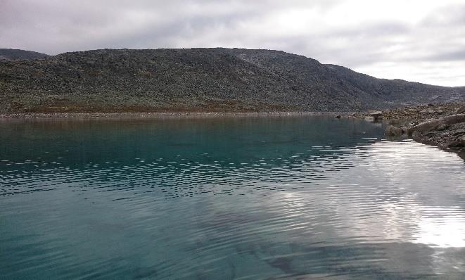 4.3.3.1 Vasskvalitet Svartdalsvatnet hadde relativt gode verdiar for ph, alkalitet og kalsium med tanke på fisk.