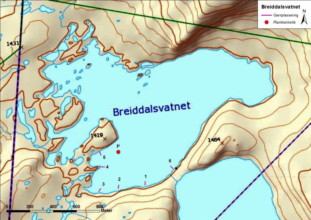 4.3.4 Breiddalsvatnet Breiddalsvatnet (figur 21 og bilete 6) ligg i Skjåk kommune. Vatnet er 1,37 km 2 stort, ligg 1393 moh. og har ei reguleringshøgd på 19 meter.