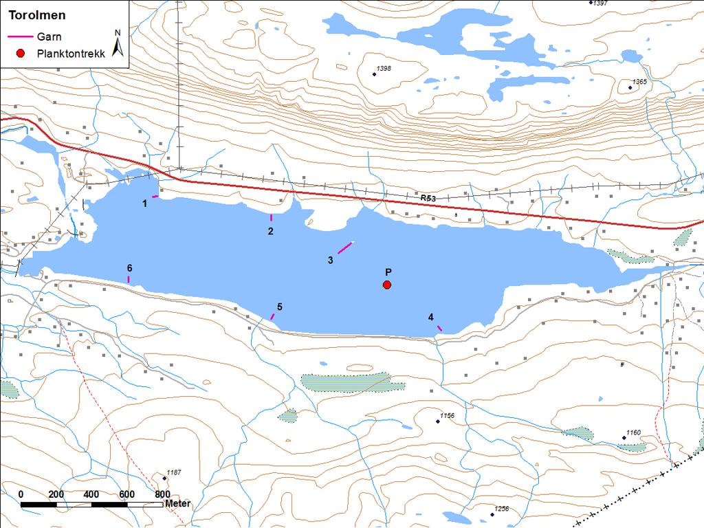 4.3.7 Torolmen Torolmen (figur 28) ligg i Årdal kommune. Vatnet er 1,64 km 2 stort, ligg 1051 moh. og har ei reguleringshøgd på 3 meter. Under prøvefisket var vasstanden 730,48 meter over havet.