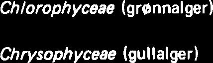 Chlorophyceae (gnnnalger) Chrysophyceae (gullalger) n