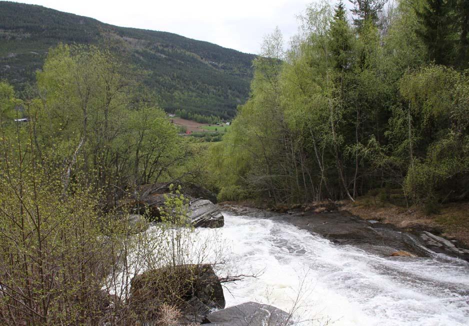 Fig 18 Øla er et viktig landemerke langs li-linja (SVV) Blikket rettes ut mot dalen