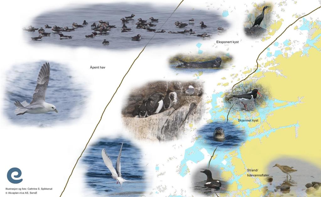 Figur 11 Inndeling i miljøsoner og eksempler på ressurstyper