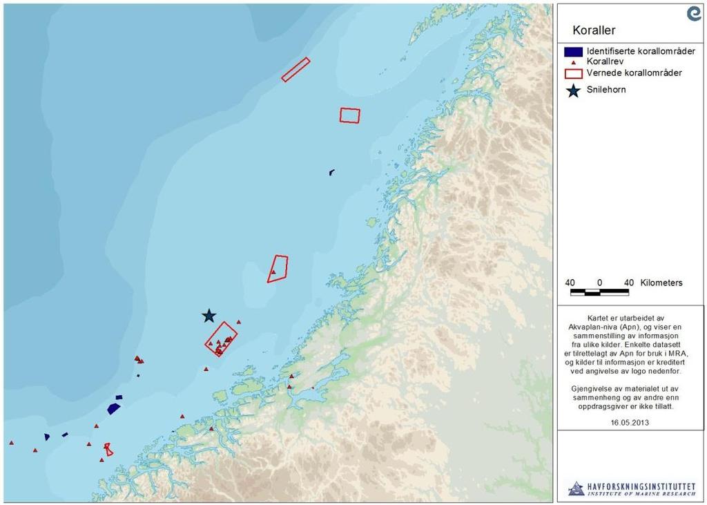 Uer (Sebastes marinus) og brosme (Brosme brosme) er de to mest vanlige fiskeartene på korallrevene.