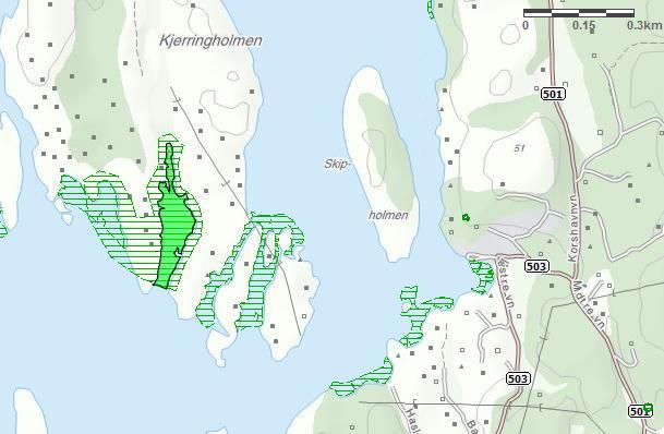 Figur 16: løtbunnsområdet sør på Kjerringholmen.