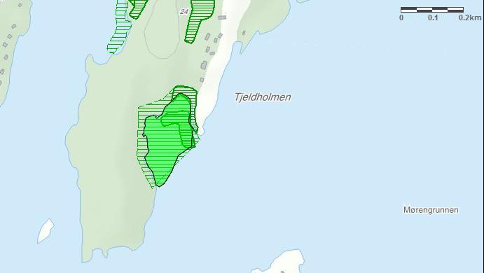 Figur 6: løtbunnsområder i strandsonen i Tjeldholsbukta.