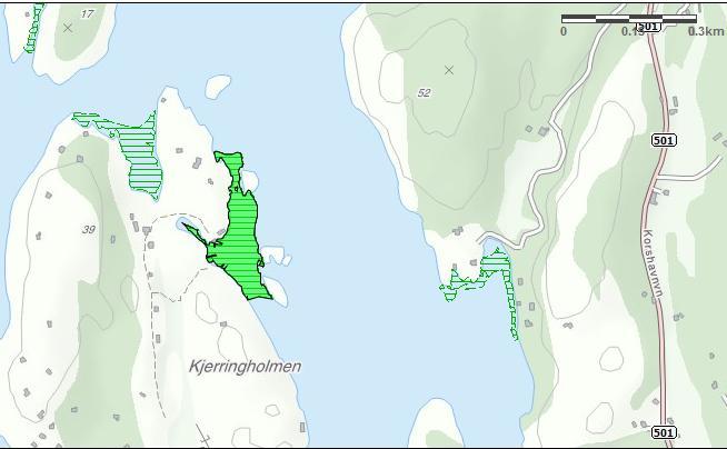 Figur 12: løtbunnsområder vest på kjerringholmen.