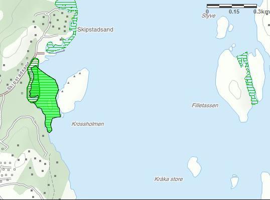 Totalareal: 40 Daa Figur 13: løtbunnsområder øst på smaløy.