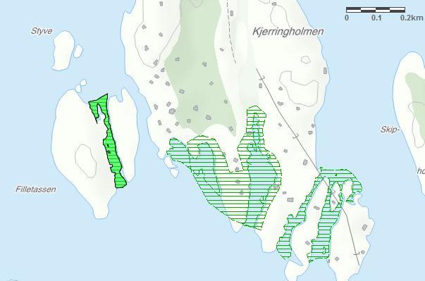 Figur 14: løtbunnsområdet vest for Kjerringholmen.