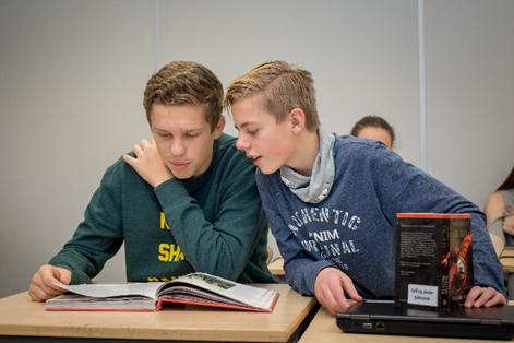 forstå bruken av grunnleggende regler og mønstre for grammatikk og setningstyper Diagrammet viser gjennomsnittet av elevenes skalapoeng og usikkerheten knyttet til dette gjennomsnittet.