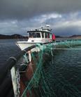 Ytterpunktene av hindringen vil vises i form av symboler Aids To Navigation merker.