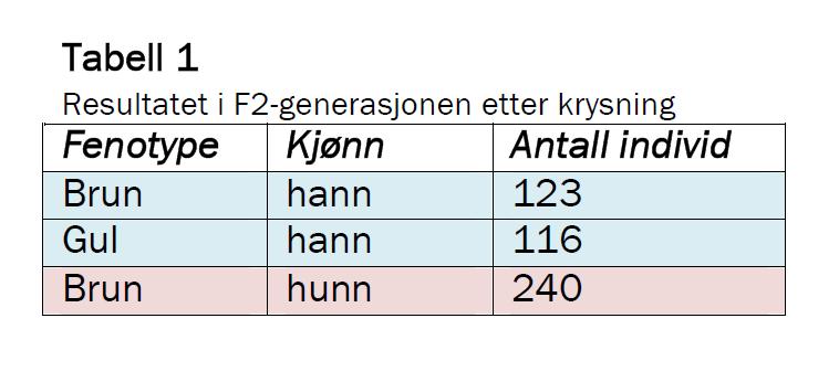 Genetikk 33 (oppgave w - høst 2009) I et bananflueeksperiment ble en brun hunn krysset med en hann som har gul kroppsfarge. Alle individene i F1-generasjonen ble brune.