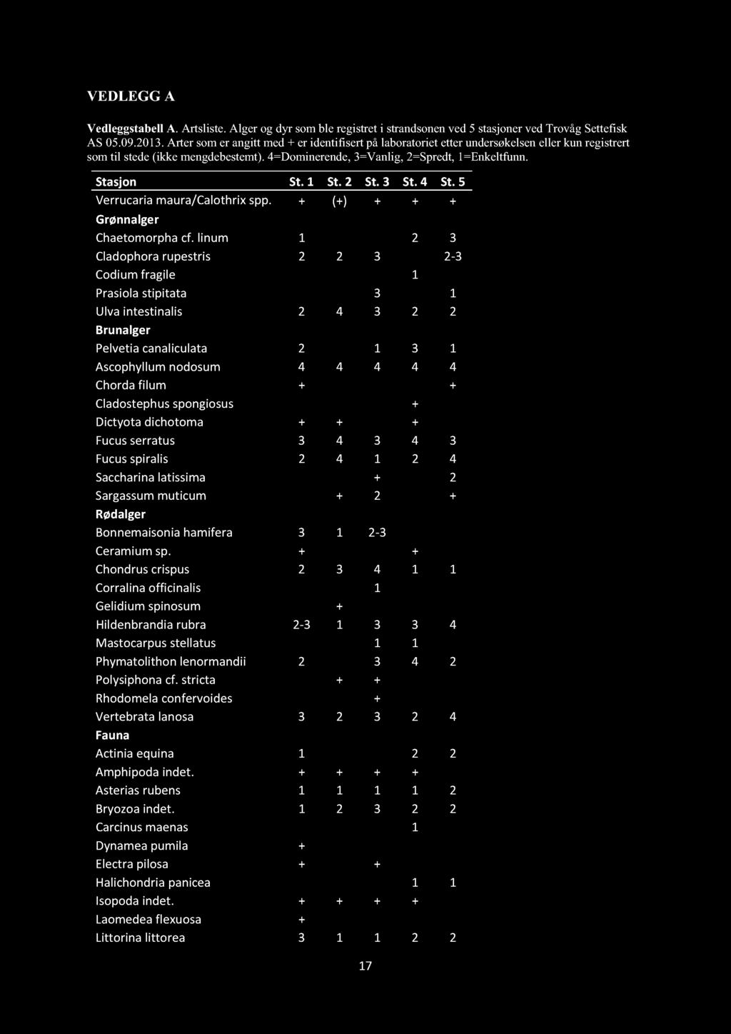 VEDLEGG A Vedleggstabell A. Artsliste. Alger og dyr som ble registret i strandsonen ved 5 stasjoner ved Trovåg Settefisk AS 05.09.2013.
