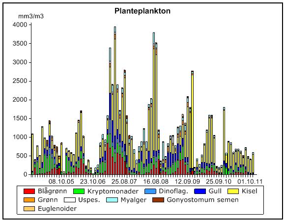 Variasjon i planteplanktonets mengde- og