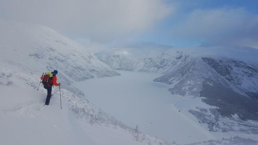 Brukar kunnskap i dagleg drift av