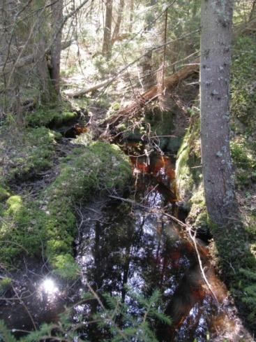 nedbørsfeltet til Morsa er skog 9% av Morsa s nedbørsfelt er under marin grense.