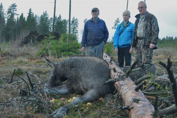 Godkjenning av bestandsplan Kommunen sjekker at planens mål er i tråd med kommunes mål og at