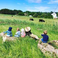 Grønn hverdag Naturen og nærmiljøet på Hvaler bugner av spennende og spiselige matskatter som vi skal benytte oss av. Dette året skal vi videreutvikle dette ved å lage vår helt egen kokebok.