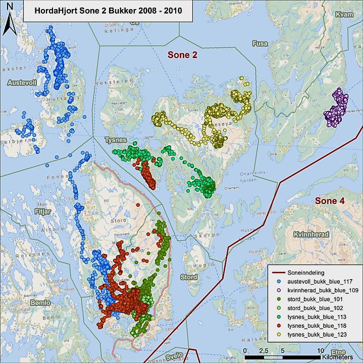 Kartet syner kvar dei merka bukkane i sone 2 har bevega seg i løpet av året. 4. Forvaltningsmål og tiltak i planperioden 4.1 Hovudmål Hjorten er ein viktig utmarksressurs for Stord og Fitjar kommunar.