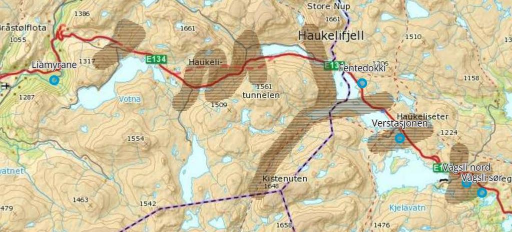 samanfalle med eit villreintrekk oppgitt i Heiplanen (sjå kart). Spørsmålet då blir om denne strekninga blir lang nok for at tunneltaket vil kunne fungere som ein trekkorridor?