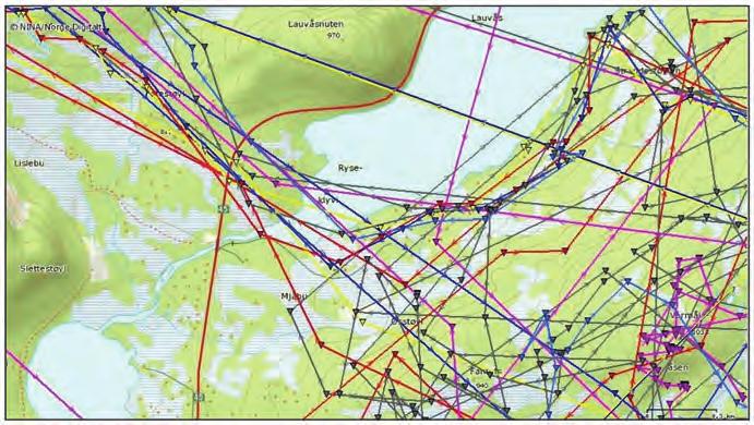 skriver forskerne i sluttrapporten fra GPS-merkeprosjektet i årene 2006-2010 (NINA Rapport 694: Villreinens bruk av Setesdalsheiene).