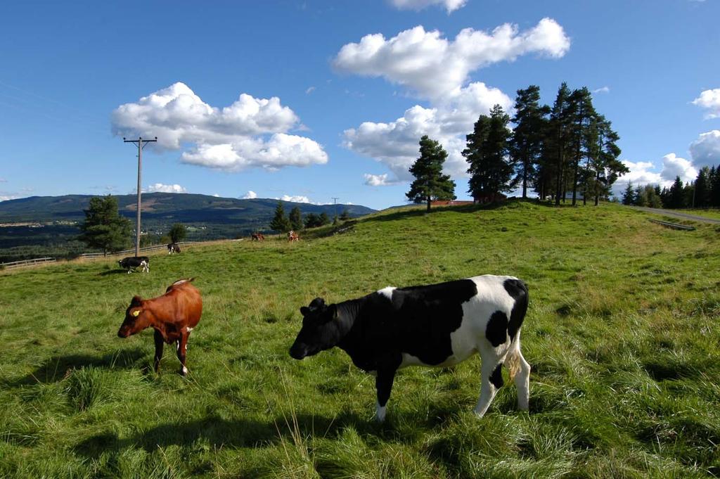 4.4 Oppsummering og mulige tiltak I Norge har man en struktur der en del bønder har mange små skifter.