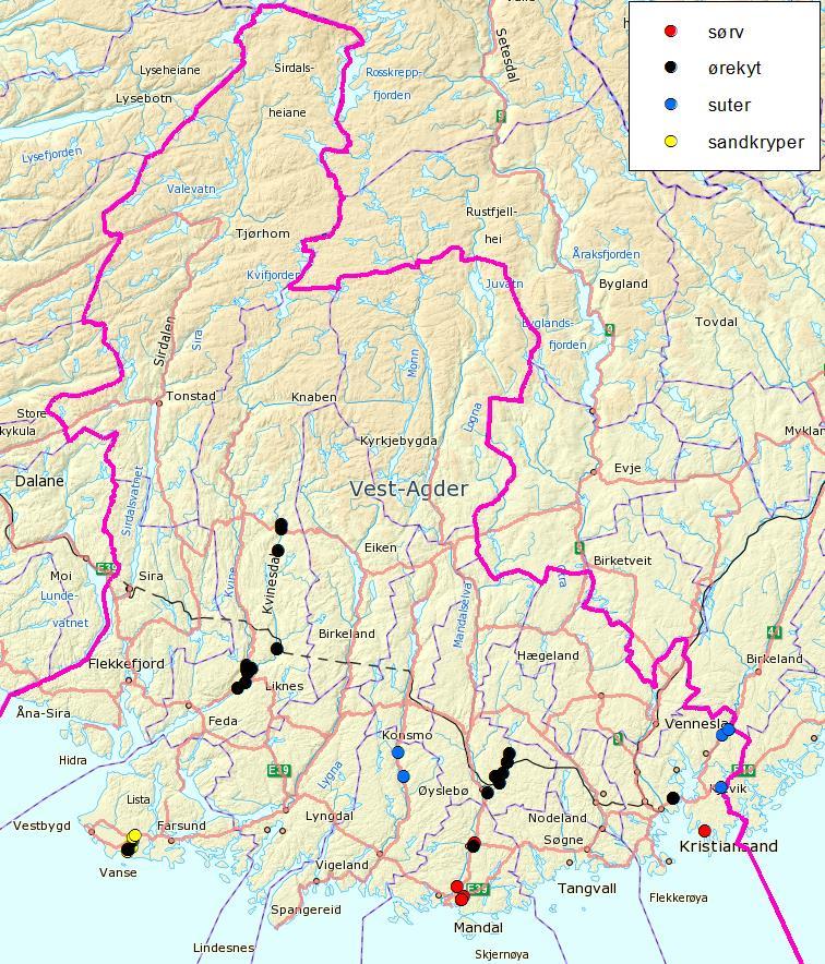 - 51 - Arter som er introdusert til nye steder kan spres videre til nye lokaliteter ved vandring i vassdragene (indirekte spredning).